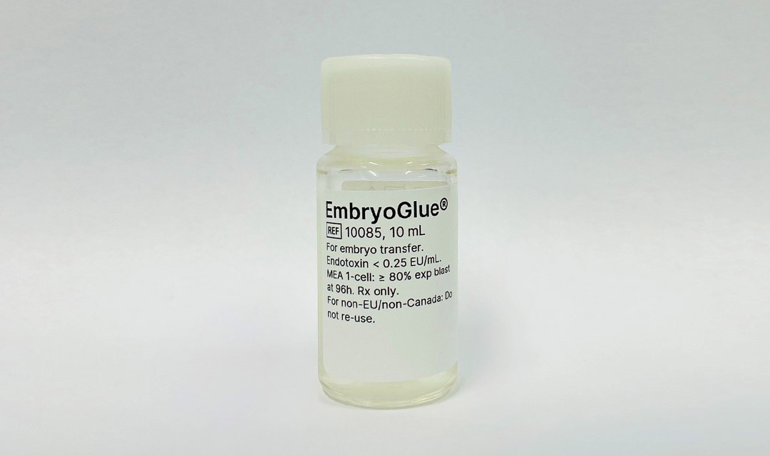 Embryu Glue